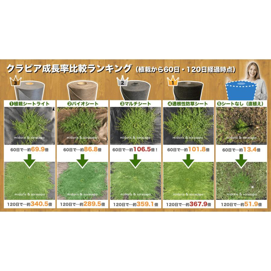 50平米分セット 二層構造防草シート クラピア 植栽用 （50m2） 2m幅