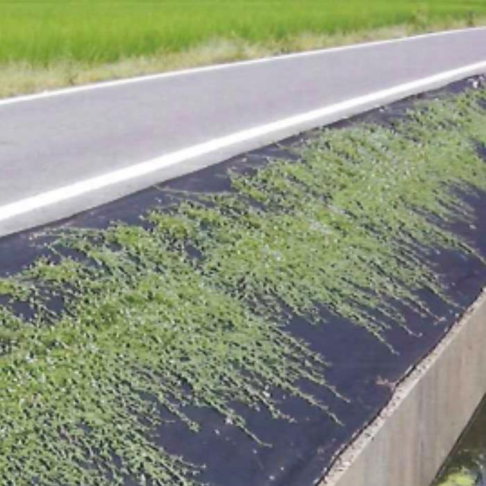 50平米分セット 二層構造防草シート クラピア 植栽用 （50m2） 2m幅 25m巻 + J字型ピン （300本） 二重構造の高耐久性10年 |  | 06