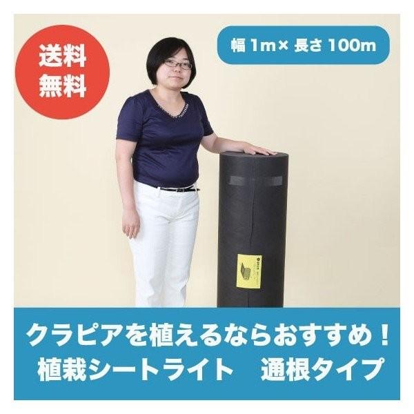 植栽シートライト 通根タイプ クラピア専用 植栽時におすすめ 1m×100ｍ 送料無料 | 