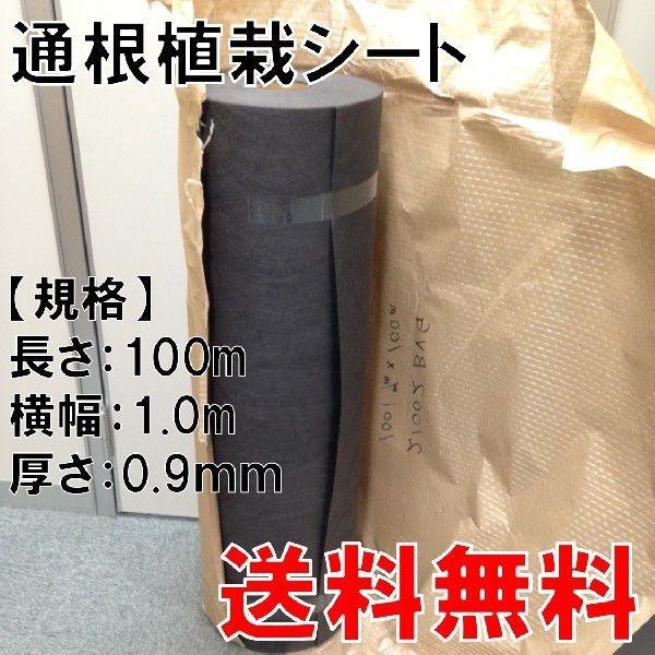植栽シートライト 通根タイプ 植栽シートライト 通根タイプ クラピア専用 植栽時におすすめ 1m
