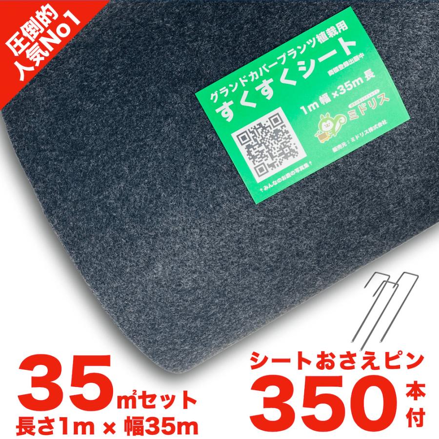 レビュー特典あり　すくすくシート35平米とJピン350本セット　1m×35m　クラピア　完全植栽マニュアル付き　芝桜