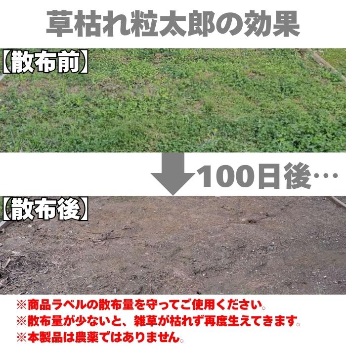 除草剤 強力 顆粒 草枯れ粒太郎 10kg×2袋 効果約6ヶ月 草丈40cm対応 土壌処理型 業務用にも 散布器 散粒器別売 粒状 |  | 02