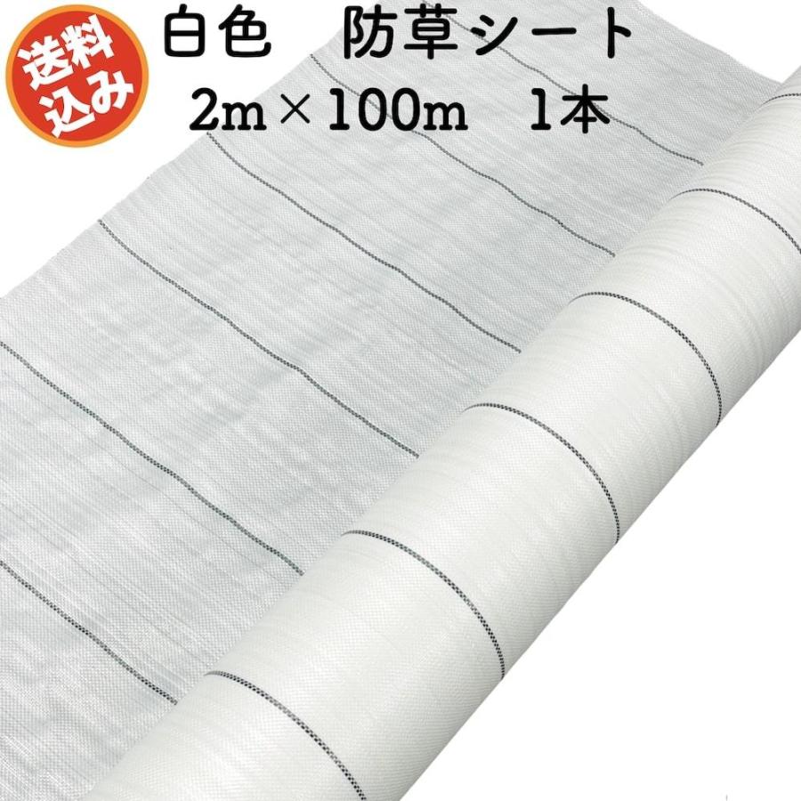 防草シート 白色（サンホワイト） 2m×100m 1本 抗菌剤 UV剤入り 反射 