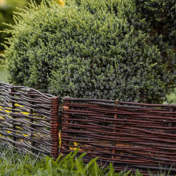 柳のローフェンス 高さ20cm 長さ1.2m 天然素材 おしゃれなローフェンス 囲い イングリッシュガーデン ガーデンフェンス ミニフェンス |  | 01