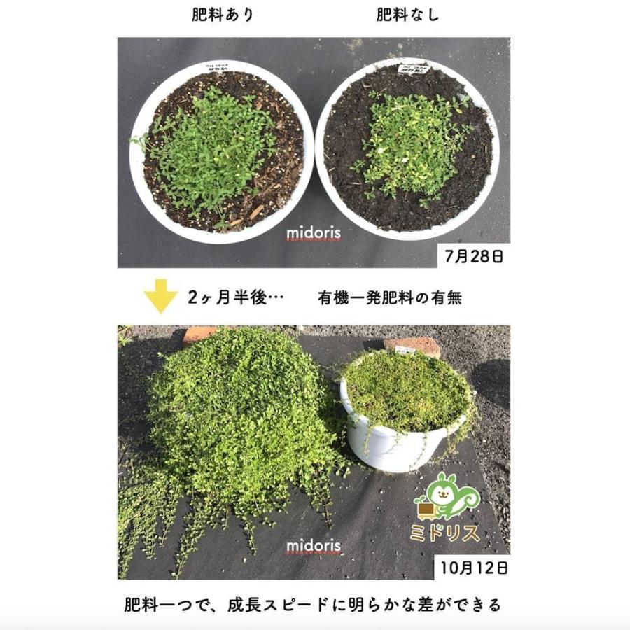 有機一発肥料草花類用 300gと根がぐんぐん伸びる素150gのセット クラピア K7 K5 K3 観葉植物 芝桜 シバザクラ 追肥 元肥 お花の苗 プランター 鉢植え Yk300 Negun150 ミドリスークラピアと雑草対策ー 通販 Yahoo ショッピング