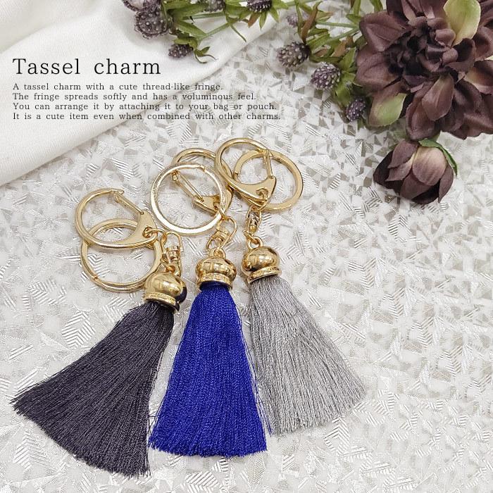 タッセルキーホルダー☆バッグチャーム☆ネイティブ☆5個セット