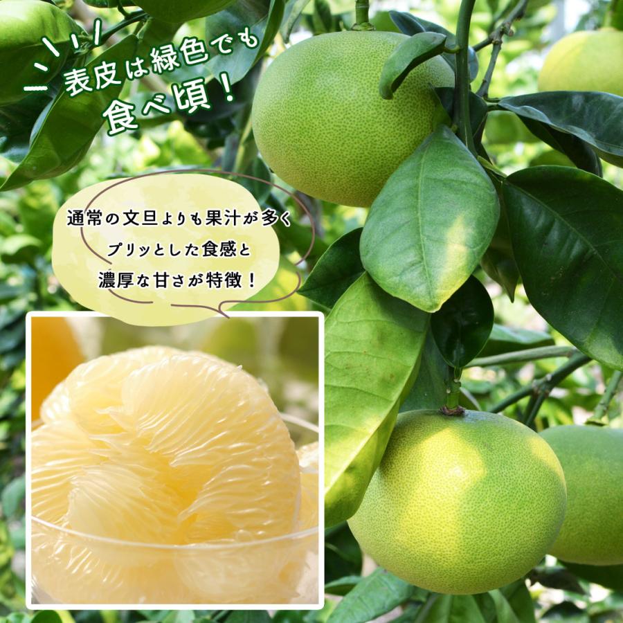 水晶文旦 文旦 高知産 3kg 秀品 5〜7玉 ぶんたん 贈答用 家庭用 化粧 