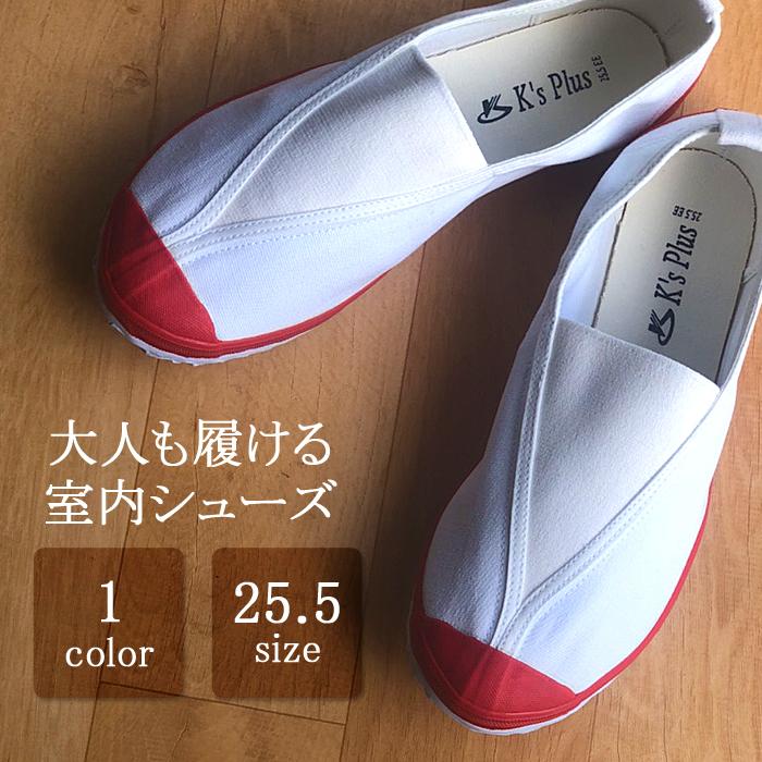 上履き うわばき 体育館 シューズ 子供 大人 レディース メンズ 学校 
