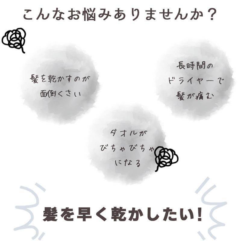 ヘアドライタオル 超吸水 速乾 ふわふわ 海外輸入 髪専用タオル コーラルフリース素材 ヘアキャップ 2枚セット タオル タオルの革命 メール便送料無料 35 75 Pg Tol0011m