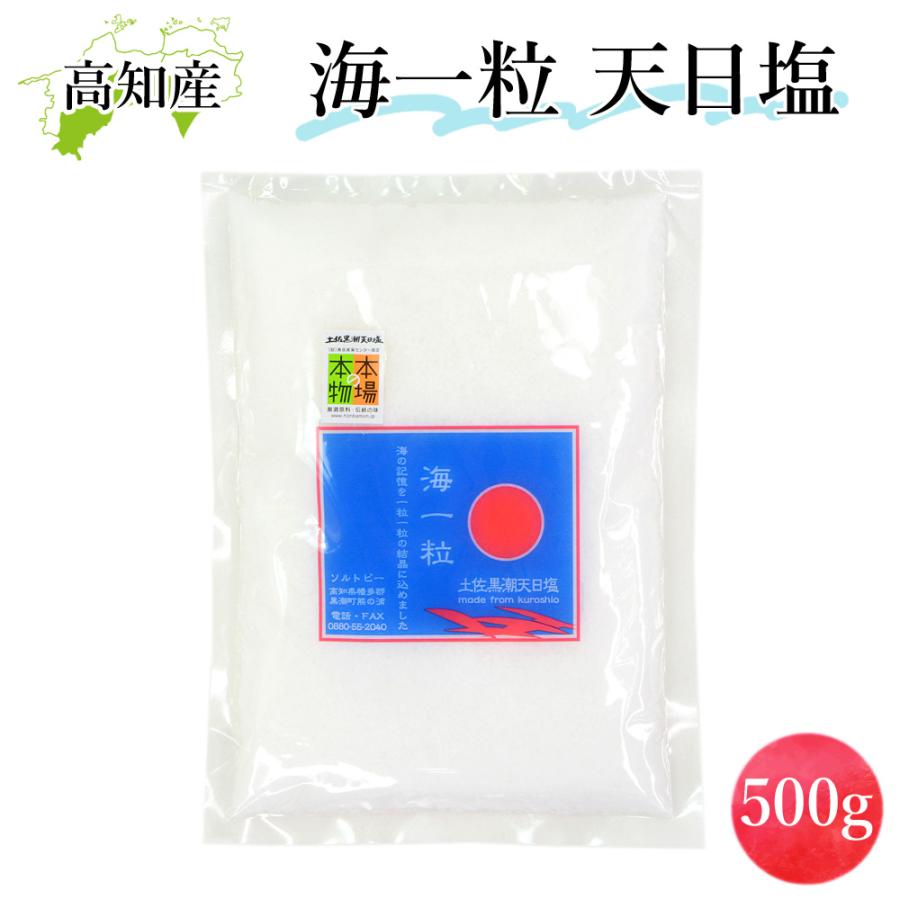 塩 天日塩 海一粒 500g 食塩 国産 お塩 高知産 ソルトビー 黒潮町