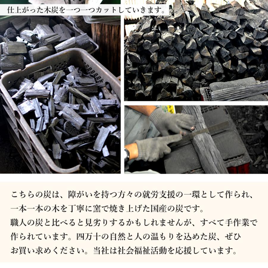 四万十産 木炭 黒炭 BBQ用 切炭 3kg 箱入り 高知県産 高知 四万十 炭 バーベキュー 消臭 除湿 置き炭 火鉢 国産木炭 3キロ ...