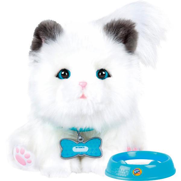 マイドリームキッテン 子供 おもちゃ 猫 ぬいぐるみ 動く ねこ 子猫 幼児 男の子 女の子 プレゼント メッセージカード無料 誕生日 クリスマス 送料無料 Ss22 0341 060 みどりや Gift 通販 Yahoo ショッピング