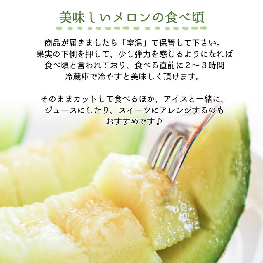 予約】 メロン 高知産 2玉 秀品 大玉 高級 新鮮 ハウスメロン 高知県