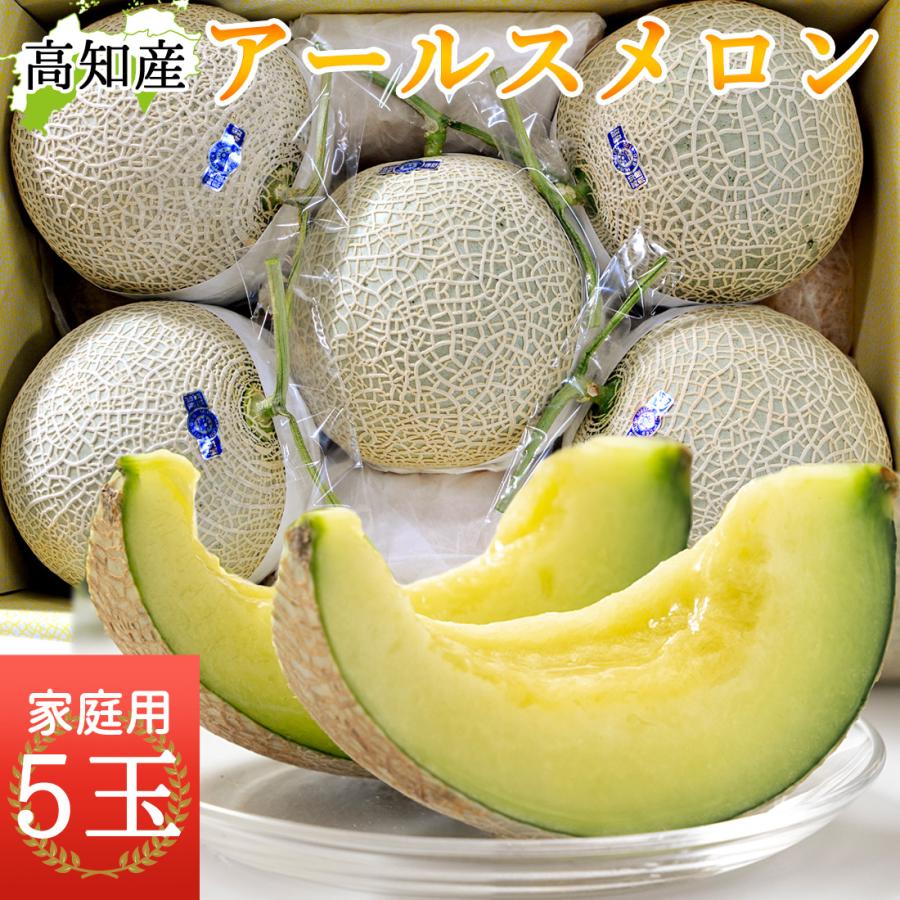 メロン 高知産 家庭用 5玉 高級 温室 ハウスメロン 青肉メロン B品 5個 