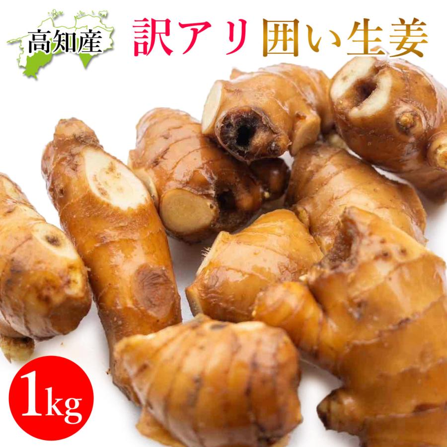 山北産直 生姜 訳あり 1kg 高知県産 国産 しょうが 農家直送 高知産