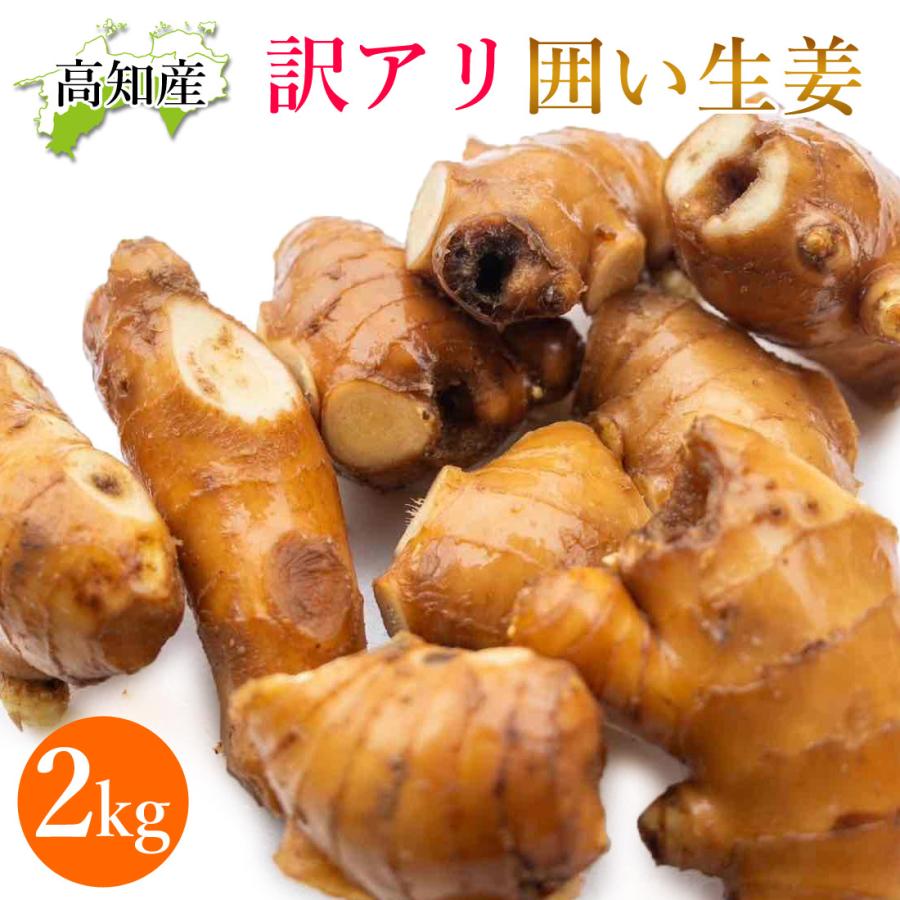 山北産直 生姜 訳あり 2kg 高知県産 国産 しょうが 農家直送 高知産