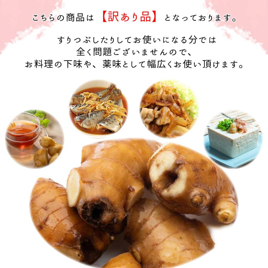 山北産直 生姜 訳あり 5kg 高知県産 国産 しょうが 農家直送 高知産