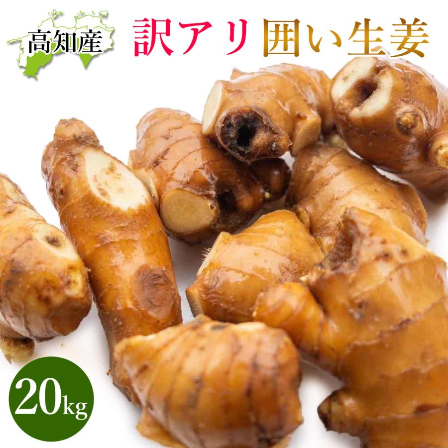激安店舗 絹桜乃☆ 高知県産 生姜 しょうが B品 20kg 野菜 - 野菜 激安店舗 絹桜乃☆ 高知県産 生姜 しょうが B品 20kg 野菜 - 野菜