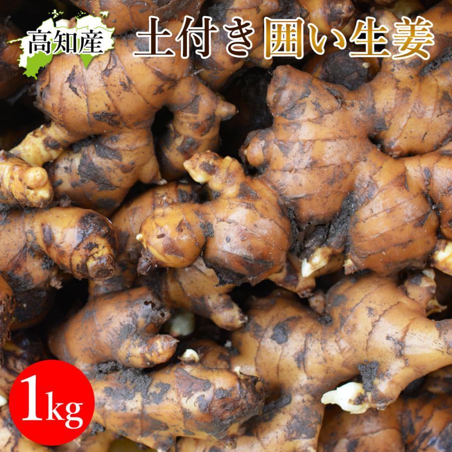 山北産直 土付き 生姜 1kg 高知県産 国産 しょうが 農家直送 高知産
