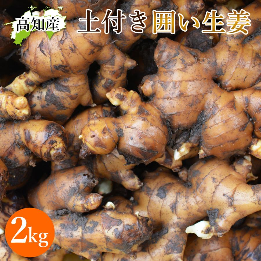 やまと様 土付き囲い生姜20kg 【公式通販】