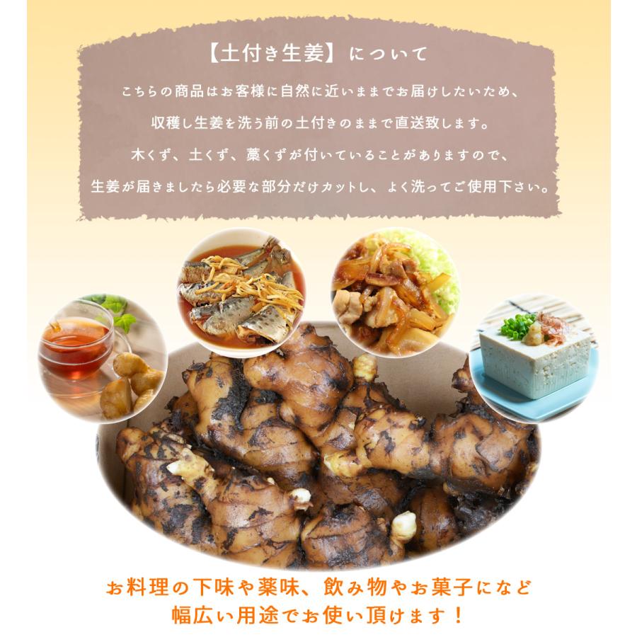 食品 サジ様 専用 農家直送 高知県産 特別栽培 生姜 ②