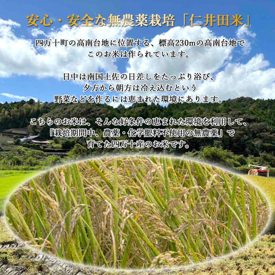 【窪川産直】 四万十町 有機JAS 仁井田米 米 こめ ひのひかり 10kg 令和7年産 お米 玄米 白米 コメ 窪川 高知産 ブランド米 ごはん 送料無料 ヤマト発送