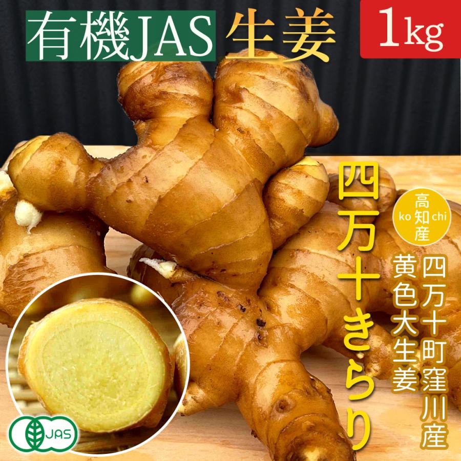 窪川産直 生姜 有機JAS 無農薬 1kg 黄色 大生姜 四万十きらり 高知産