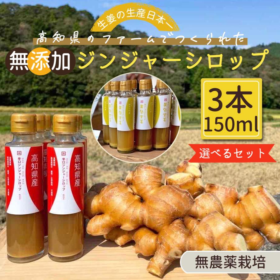 国産 生姜シロップ 無農薬 3本セット 四万十町 辛口 ジンジャー