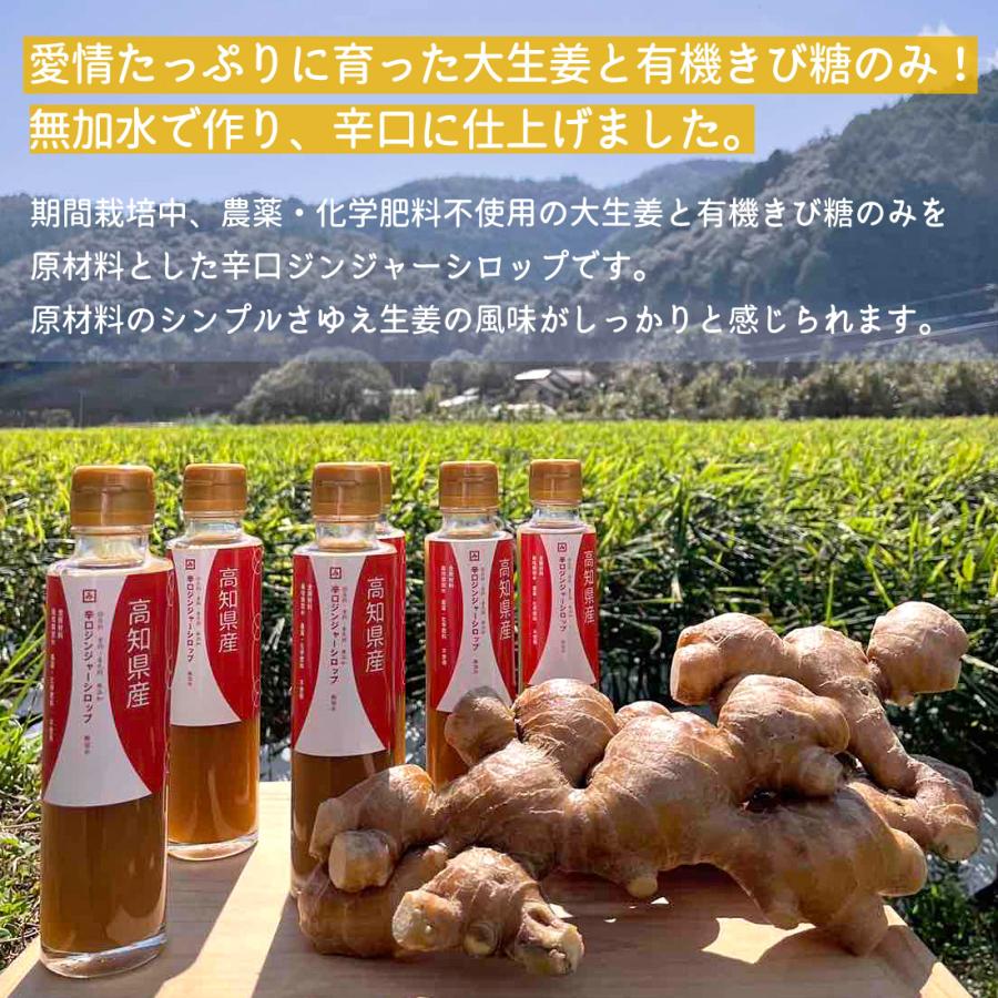 国産 生姜シロップ 無農薬 3本セット 四万十町 辛口 ジンジャー