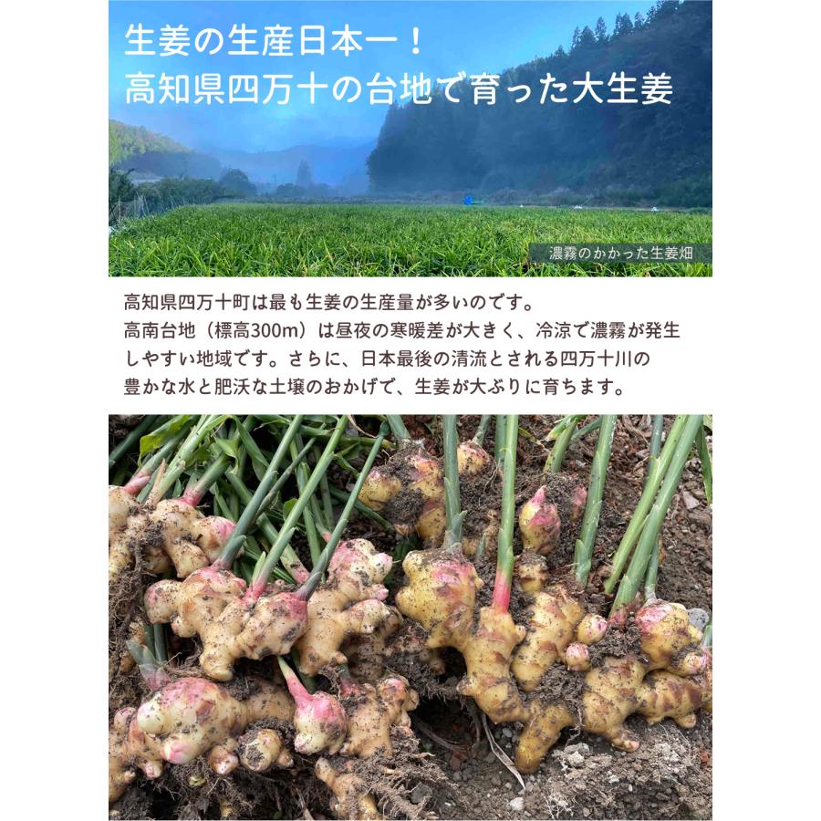 国産 生姜シロップ 無農薬 6本セット 四万十町 辛口 ジンジャー