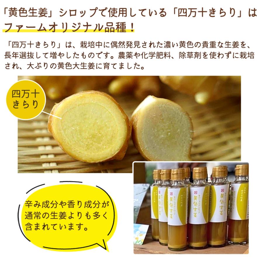 国産 生姜シロップ 無農薬 6本セット 四万十町 辛口 ジンジャー