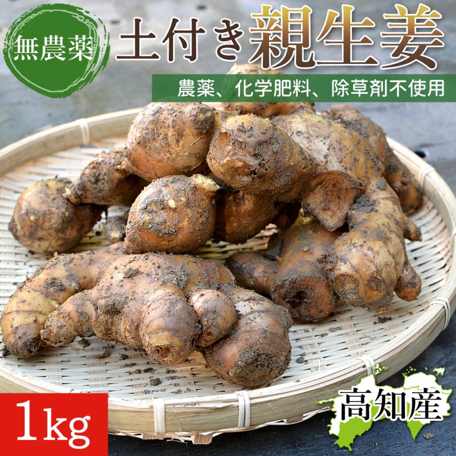 高知県産　農薬不使用有機肥料　生姜　10kg 窪川産直 親生姜 無農薬 生姜 1kg 大生姜 高知産 国産 無農薬栽培