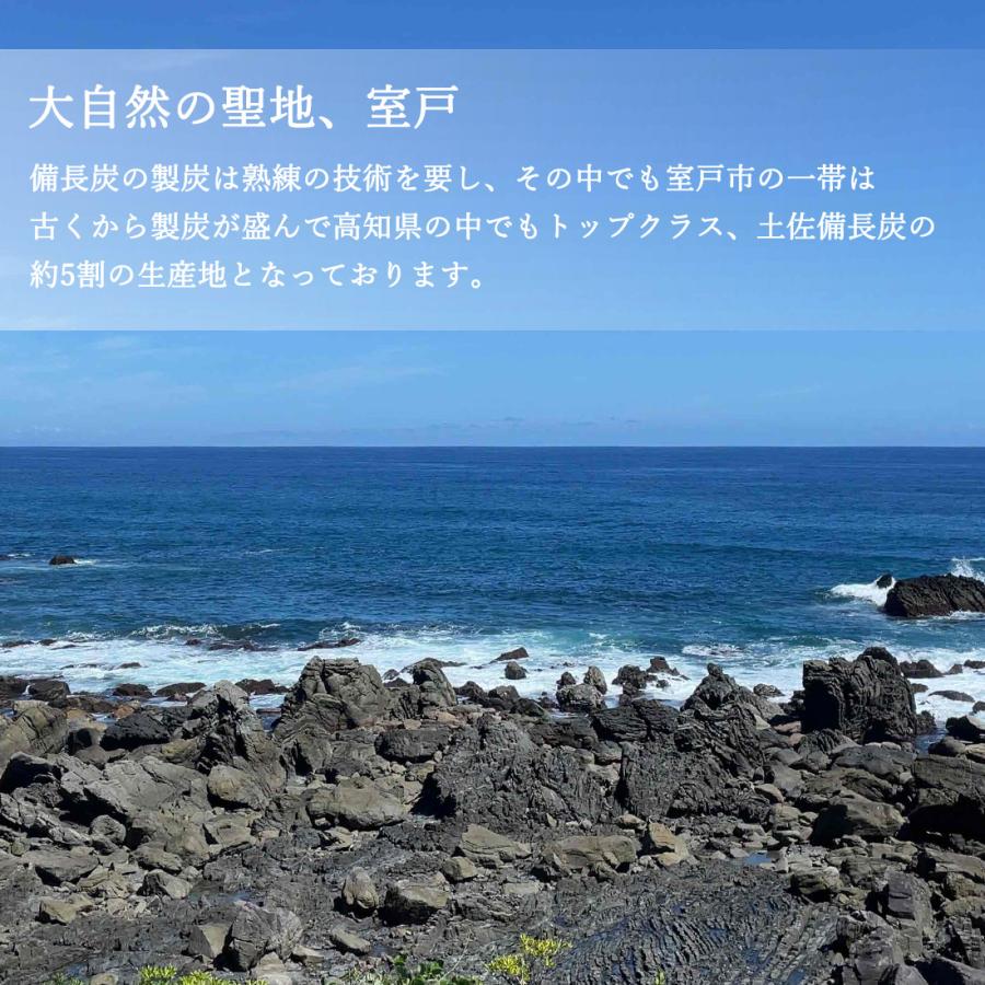 窯元直送 土佐備長炭 2級 純正箱入 3kg 備長炭 高知産 室戸 3キロ 高級