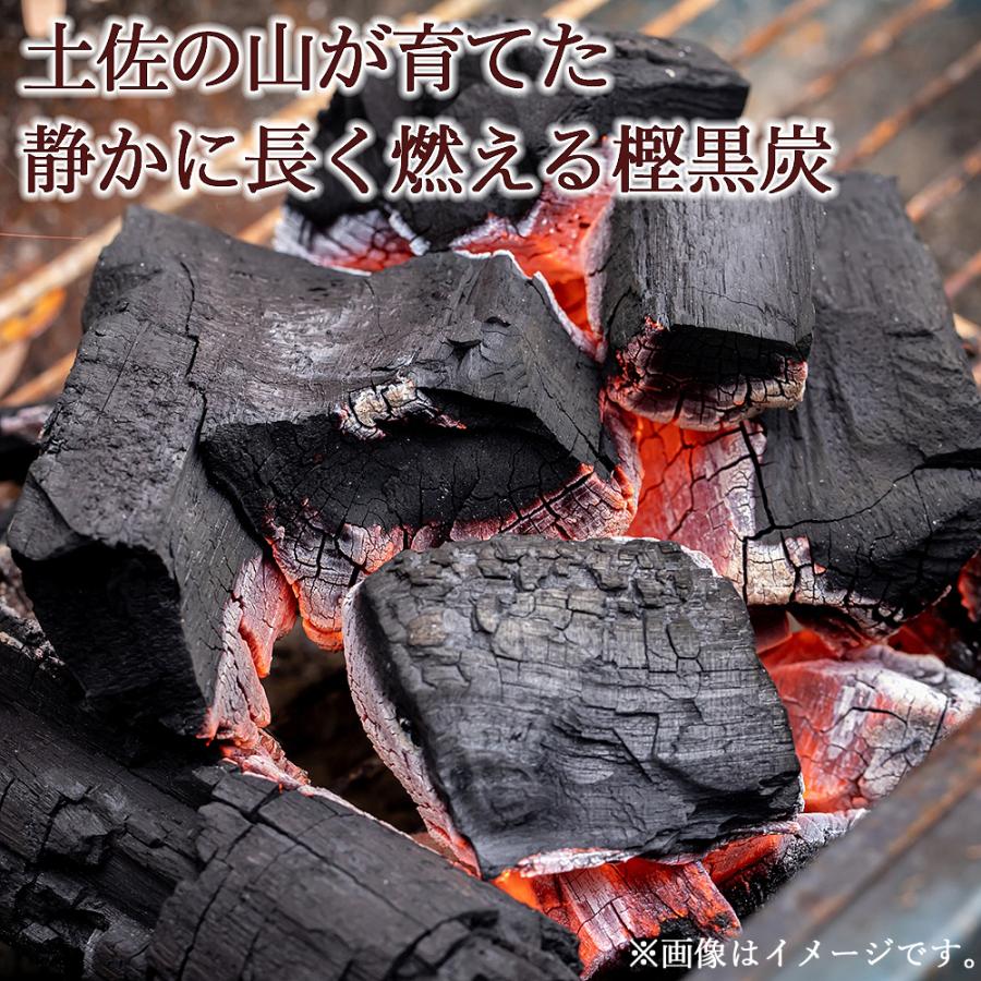 高知県大月町産 土佐木炭 樫黒炭 10kg 国産 木炭 カシ炭 土佐黒炭 丸割