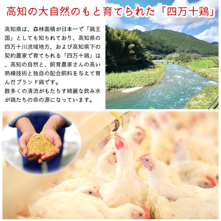 四万十鶏 小分け もも肉 1.8kg カット肉 300g×6袋 一口サイズ カット