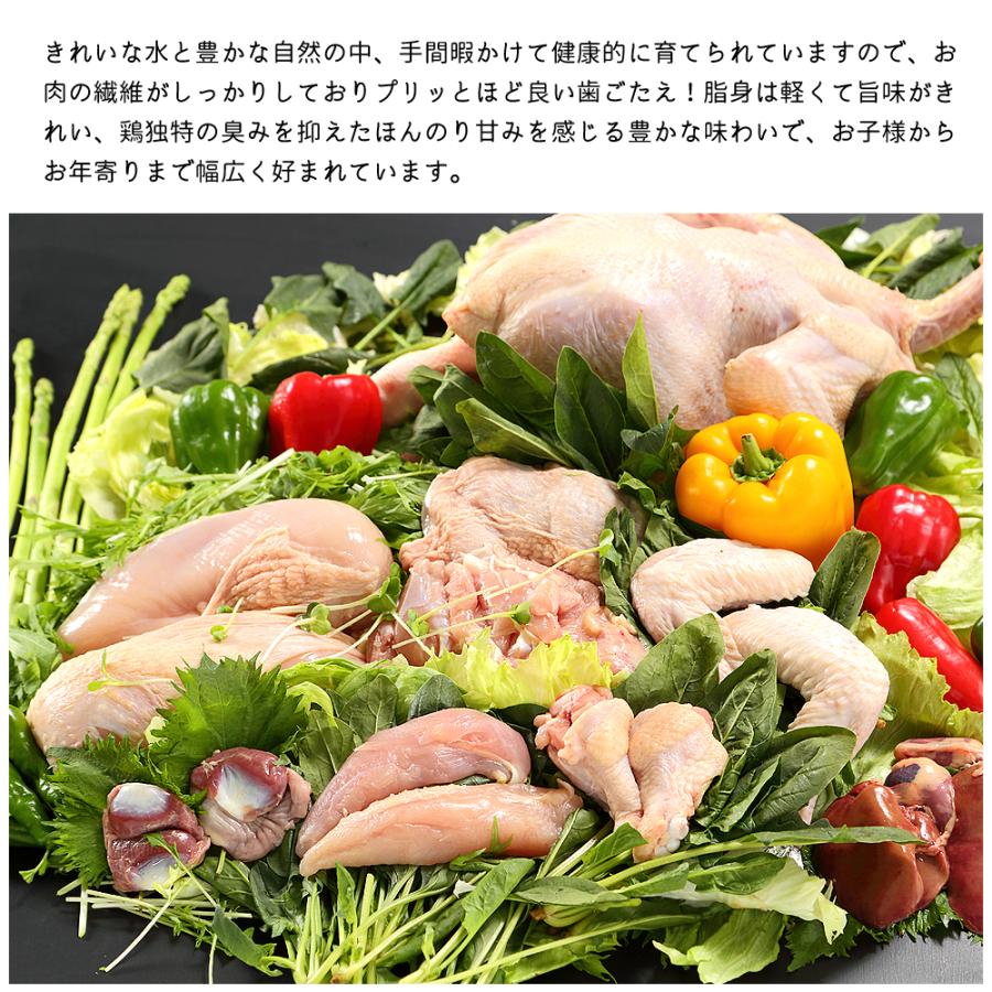 四万十鶏 ささみ 8kg 鶏 ササミ 8キロ 鶏肉 とり肉 鳥肉 鳥 四万十鳥