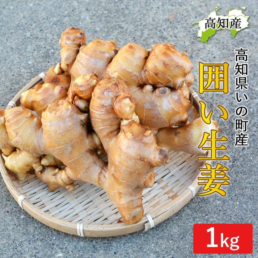 いの産直 生姜 1kg 高知県産 国産 しょうが 農家直送 刈谷農園 高知産
