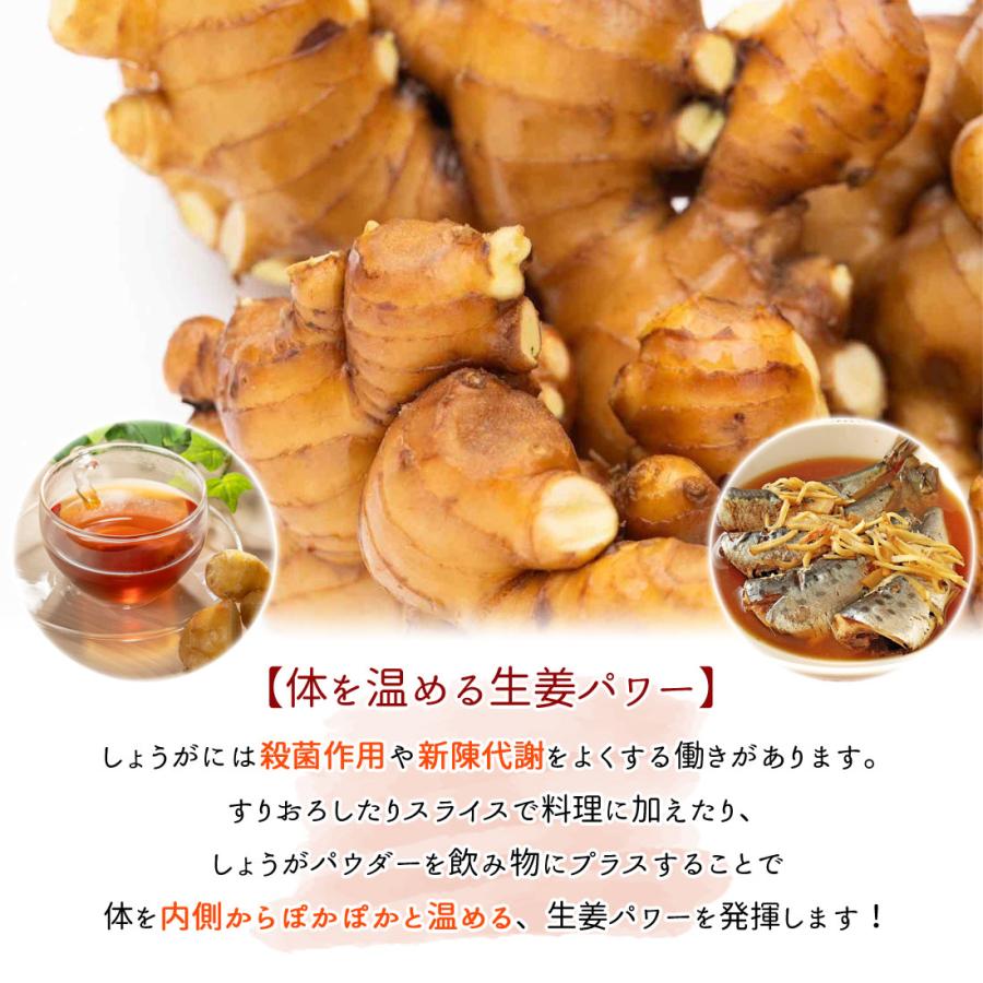 いの産直 生姜 4kg 高知県産 国産 しょうが 農家直送 刈谷農園 高知産