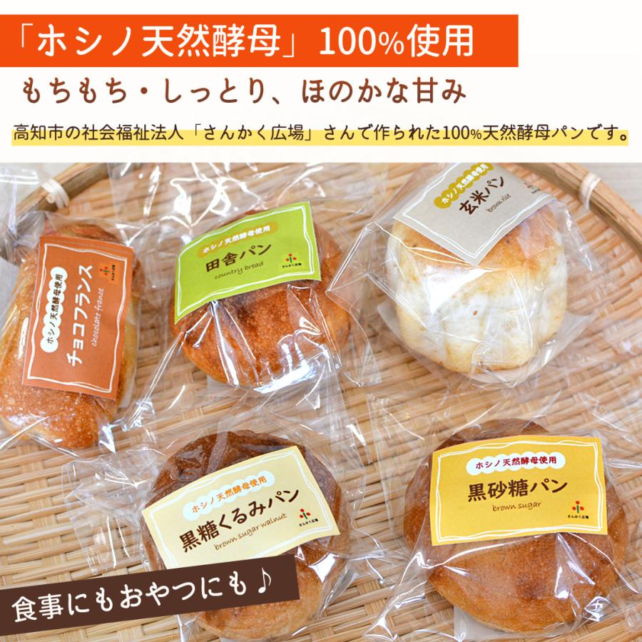 パン ホシノ天然酵母 100% 天然酵母パン 10個 セット もちもち 玄米