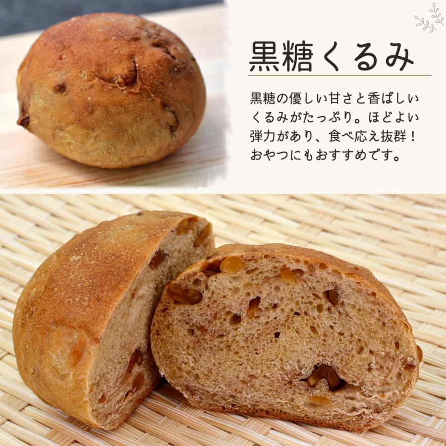パン ホシノ天然酵母 100% 天然酵母パン 10個 セット もちもち 玄米