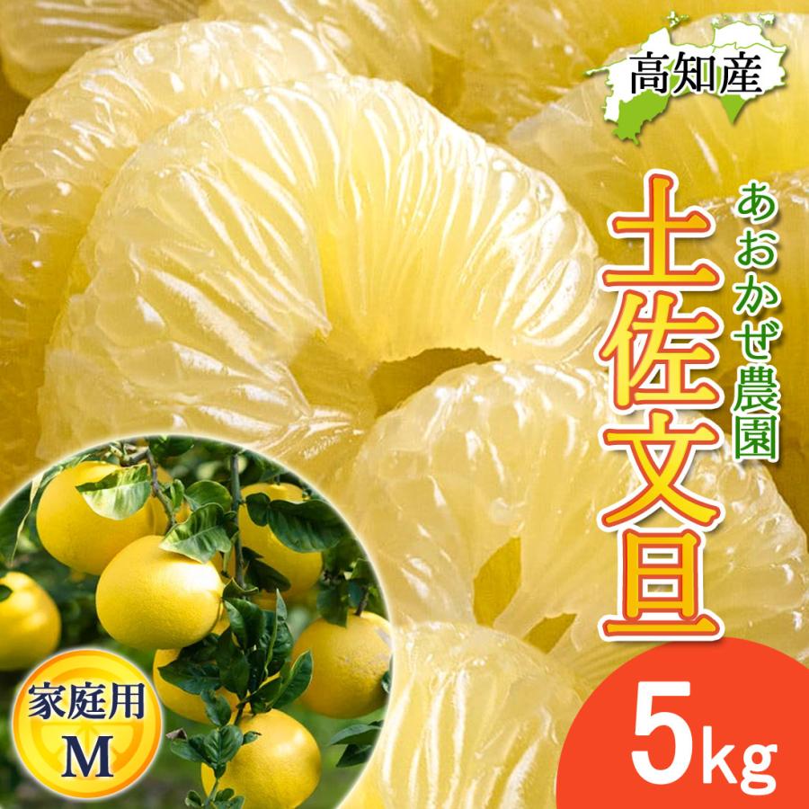 OBA　土佐文旦赤玉ミックス20キロ 文旦 土佐文旦 家庭用 小 Mサイズ 14〜16玉 5kg 宿毛文旦 産直 あお