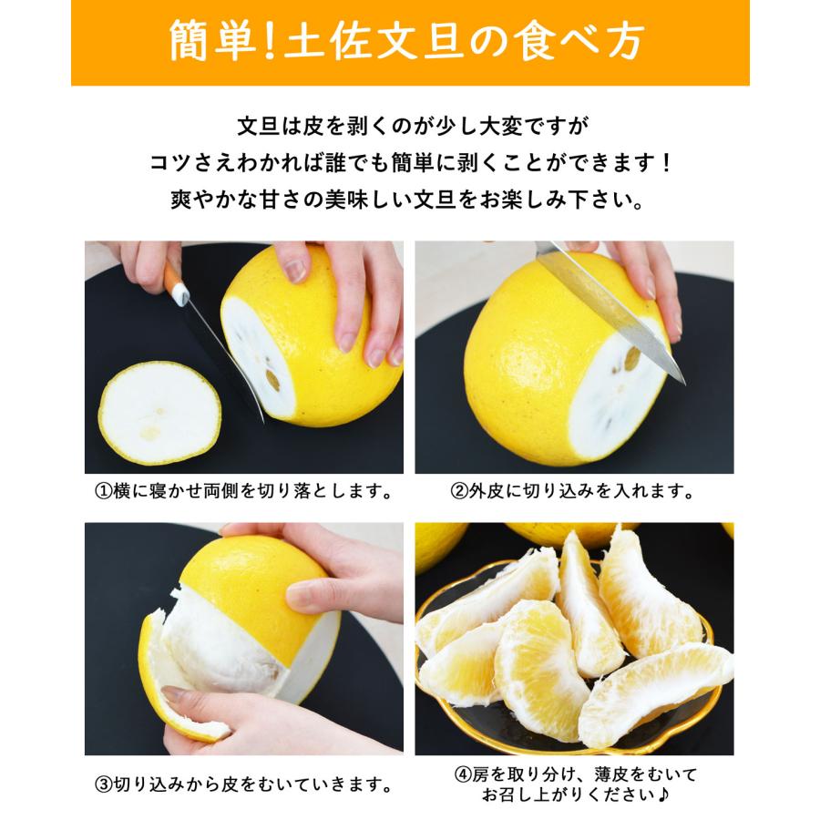 文旦 電子文旦 土佐文旦 良品 3kg 2L〜3Lサイズ 5〜6玉 ハッピー 文旦 電子文旦 土佐文旦 良品 3kg 2L〜3Lサイズ 5〜6玉 ハッピー