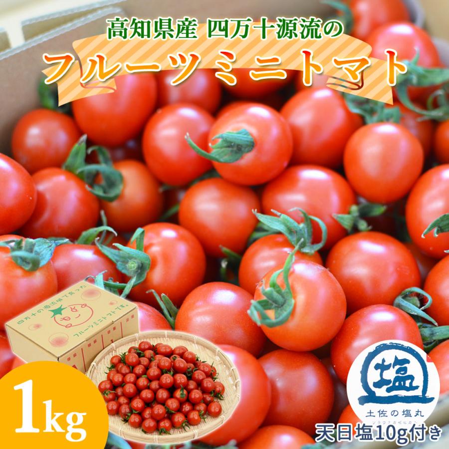 大野見直送 四万十 フルーツミニトマト 1kg 完熟 朝どれ トマト