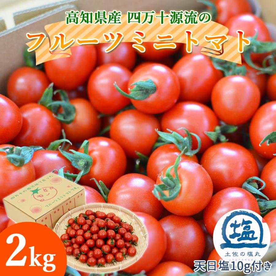 tomatoさま専用 完熟・大きめ4キロ 公認ショップ