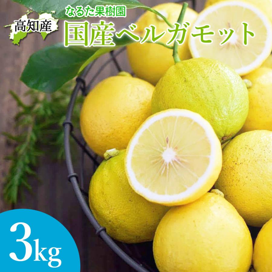 有機栽培 国産ベルガモット果実 黄緑色 ３キロ 送料無料 ベルガモット 3kg 国産 【A・B品混同品】 ベルガモット 果実 柑橘