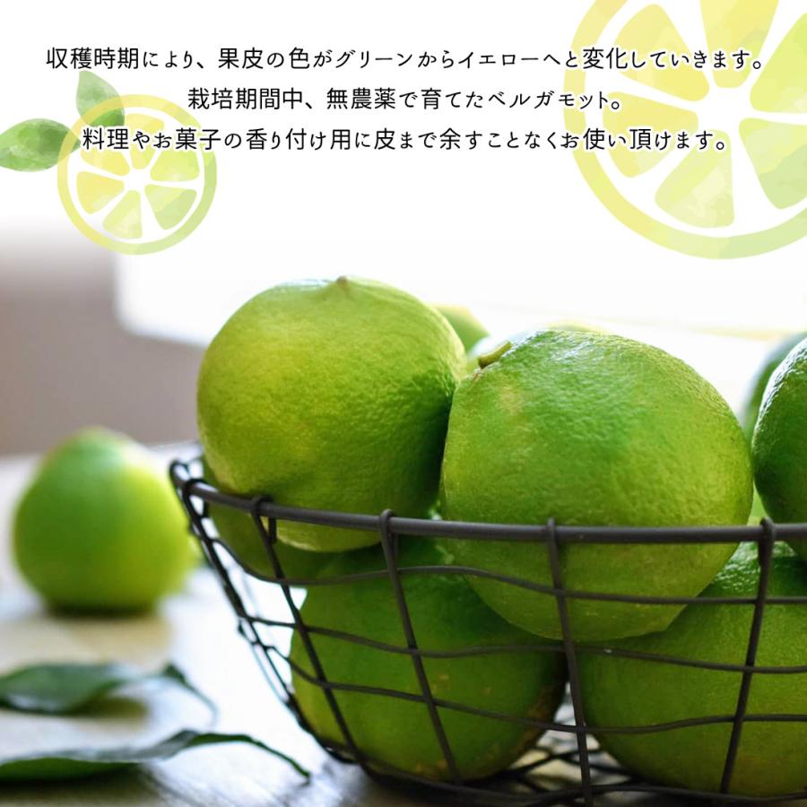有機栽培 国産ベルガモット果実 黄緑色 ３キロ 送料無料 ベルガモット 栽培期間中 無農薬 ノーワックス 高知産 3kg 国産