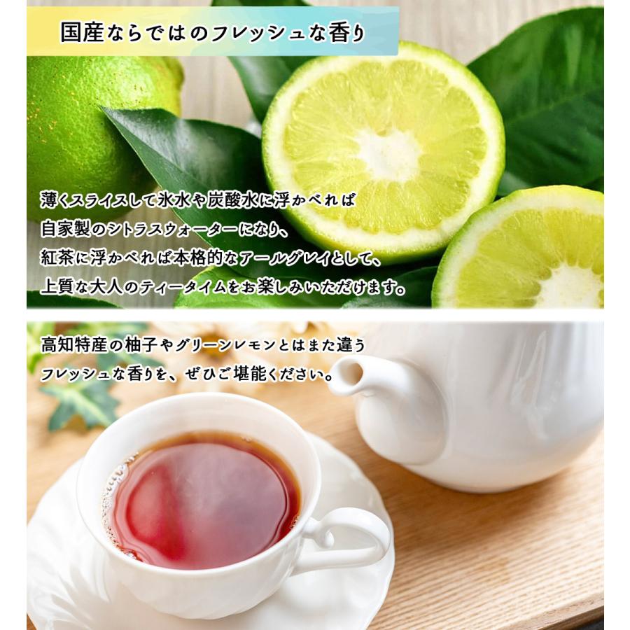 ベルガモット 栽培期間中 無農薬 ノーワックス 高知産 3kg 国産