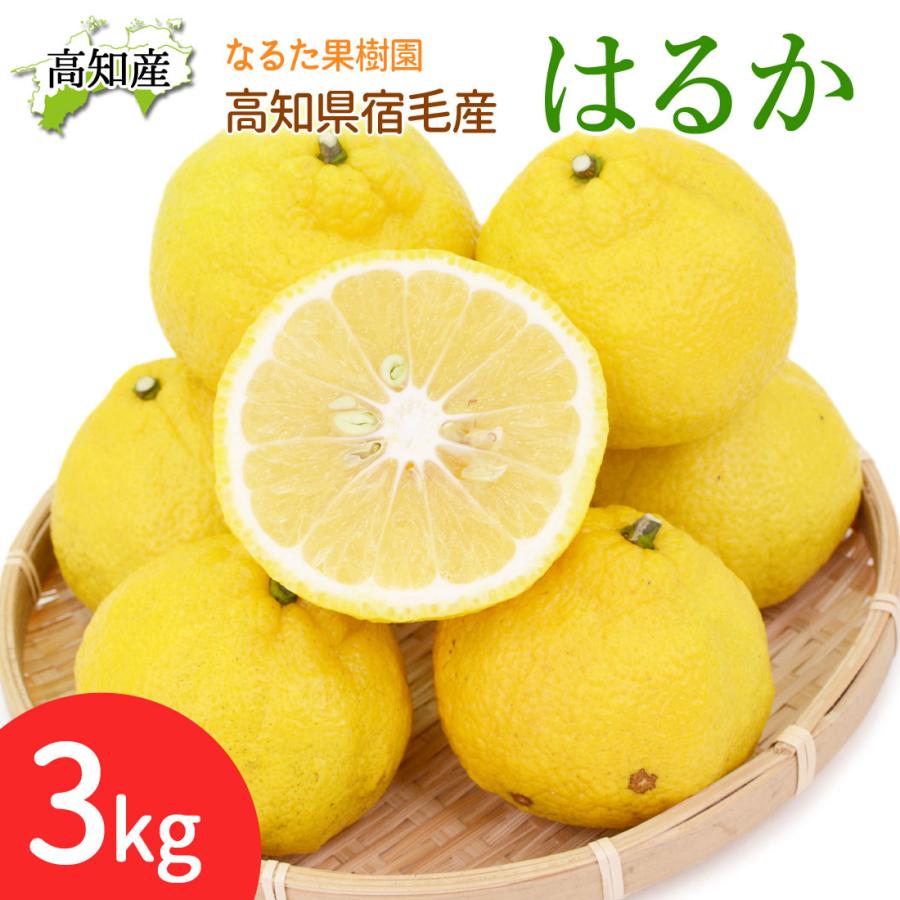甘くて美味しい はるか 3kg 家庭用 15〜21玉 M〜2L 成田果樹園 3キロ