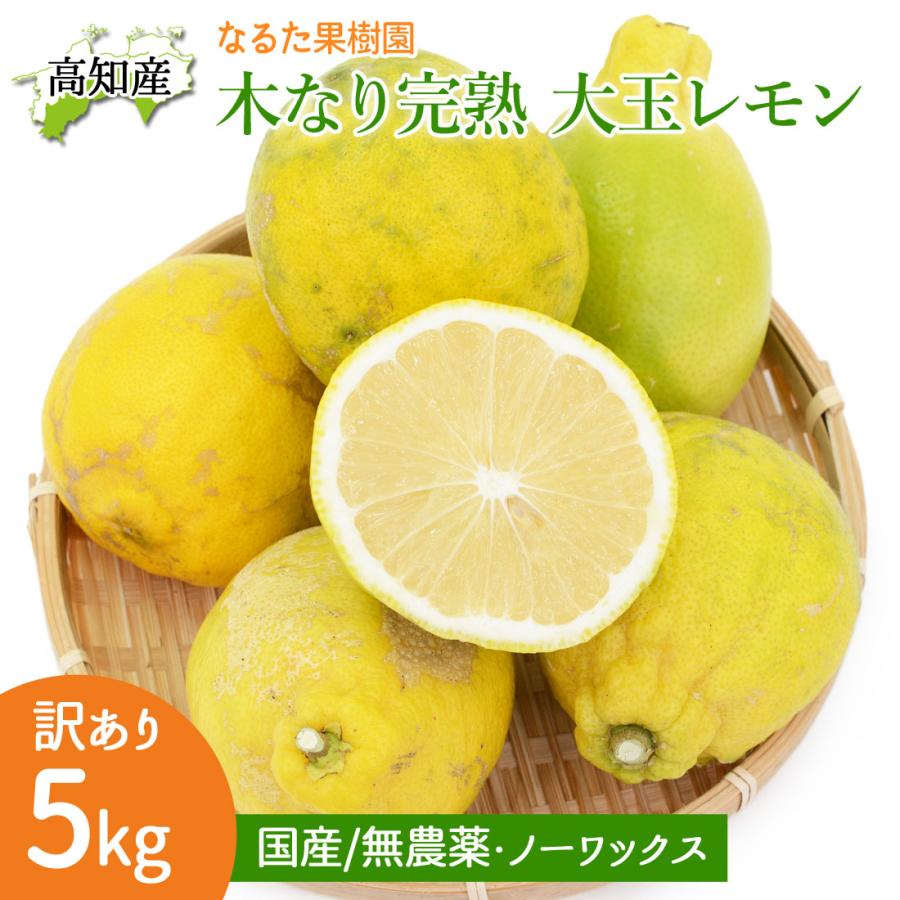 青空 大玉 レモン10kg×2 レモン 大玉 訳あり 5kg 栽培期間中 無農薬 国産 木成り完熟 特大
