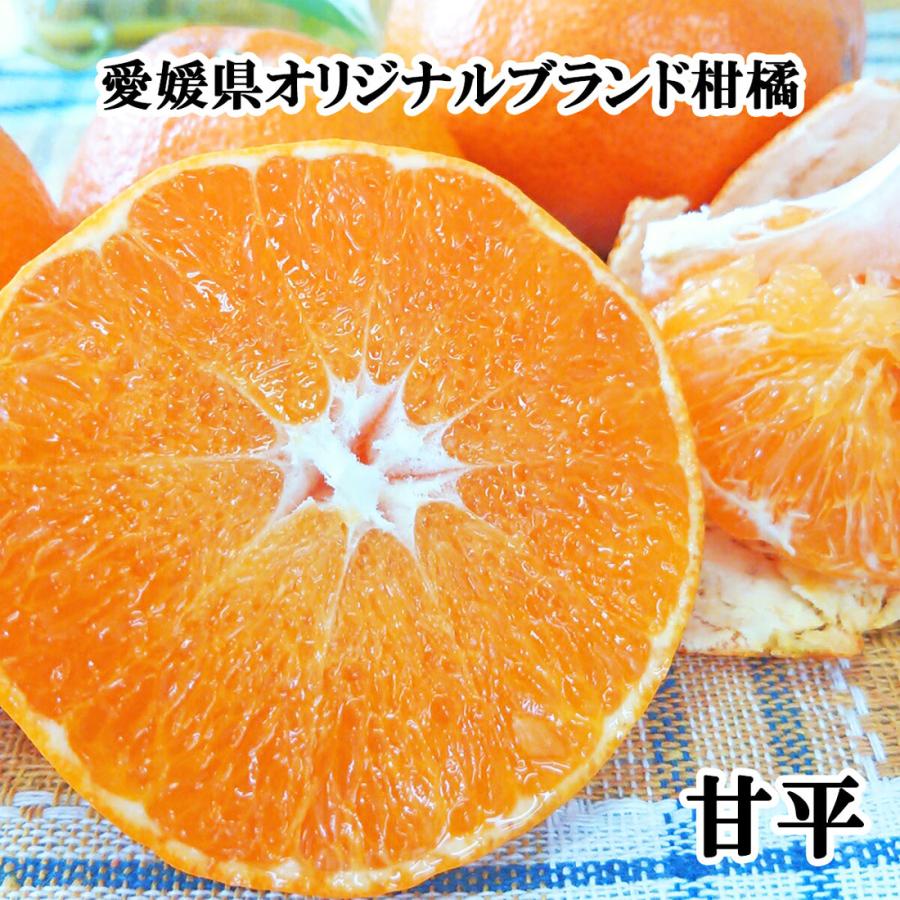 中島産 みかん 甘平 2kg 中島甘平 かんぺい 贈答用 特選品 大玉サイズ